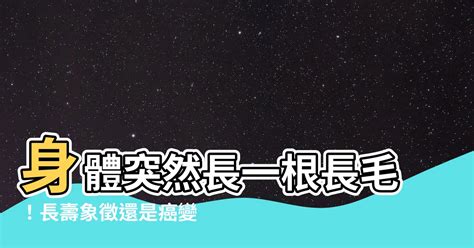 突然長一根毛|乳頭長毛是多毛症還是腫瘤？醫師告訴你如何從併發症判斷｜每日